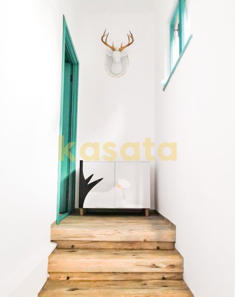 Popa Nan apart 2 camere 80mp  in vila lux renovat fara risc   boxa