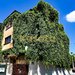 Popa Nan apart 2 camere 80mp  in vila lux renovat fara risc   boxa